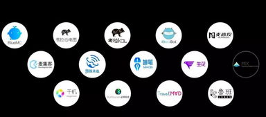 网红无法取代4A广告公司的深层逻辑